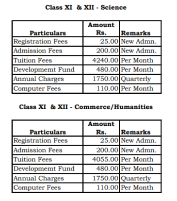 Fee Structure of NK Bagrodia Public School