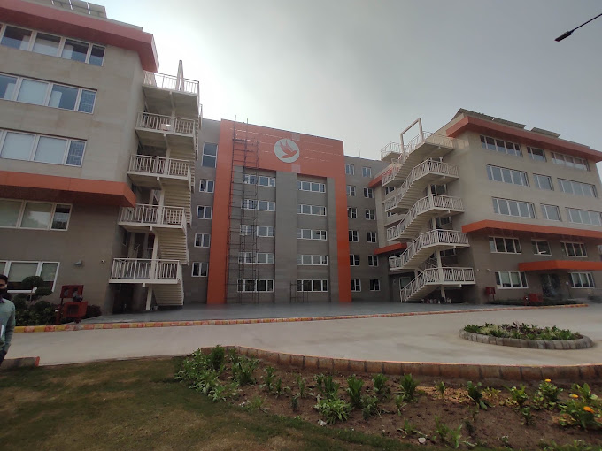 Unleashing Creativity and Compassion at Apeejay School: A Deep Dive into the CAS Programme
