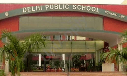 Delhi Public School (DPS), review