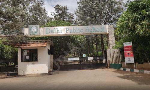 Delhi Public School review