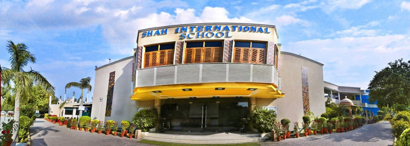 Shah International School, review